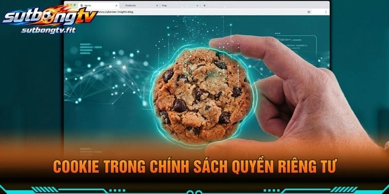 Cookie Trong Chính Sách Quyền Riêng Tư