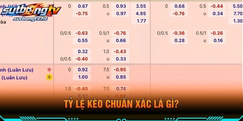 Tỷ Lệ Kèo Chuẩn Xác Là Gì?